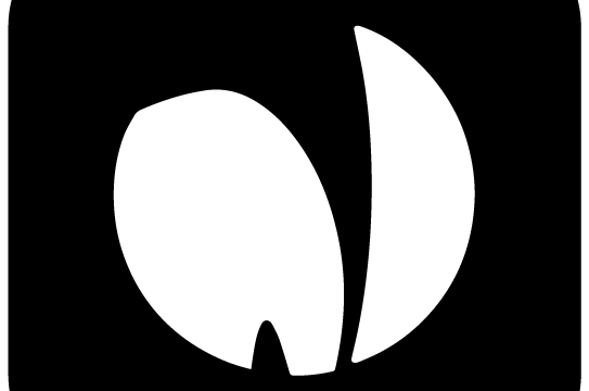 NLPearl-Logo-Black-RecupereVV.webp