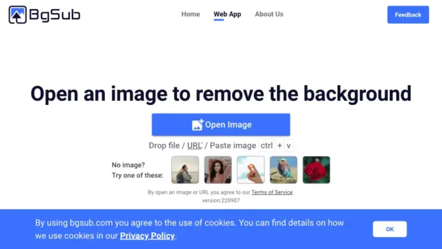 bgsub.webp