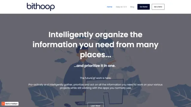 bithoop.webp