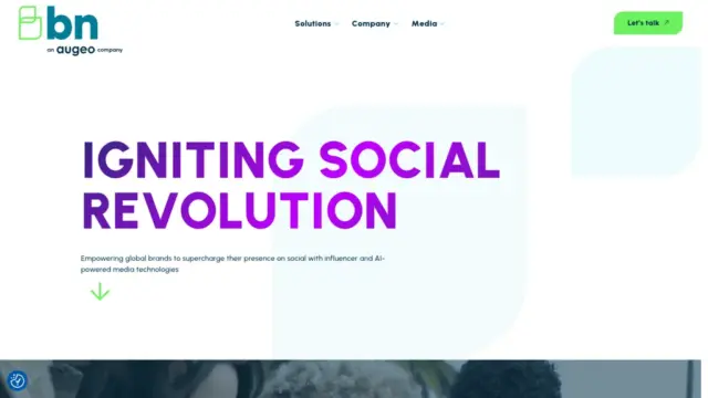 brandnetworksinc-com.webp