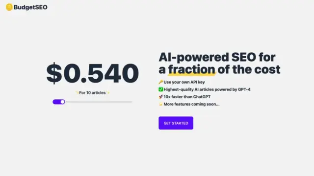 budgetseo.webp