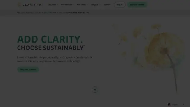 clarity-ai.webp
