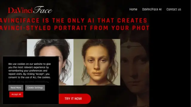davinciface.webp
