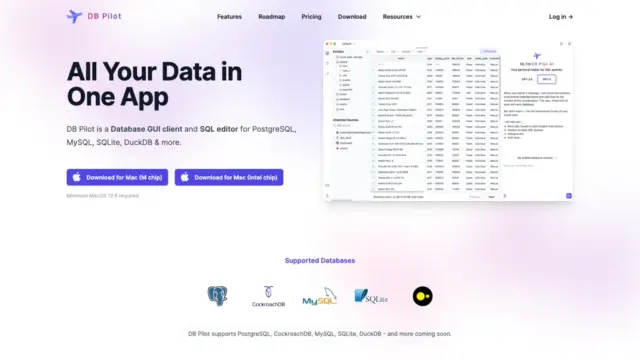 db-pilot.webp