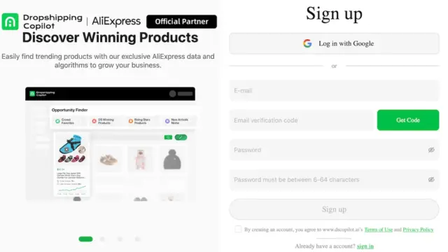 dropshipping-copilot.webp