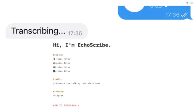 echoscribe.webp