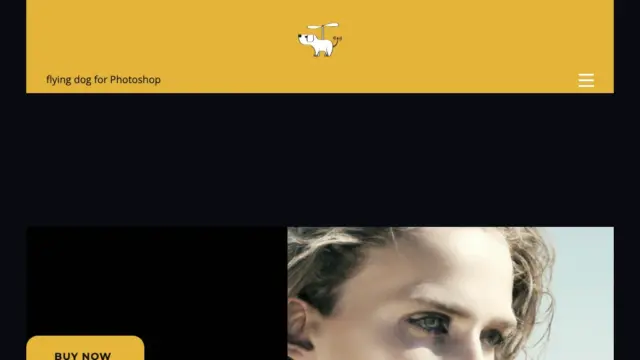 flying-dog.webp