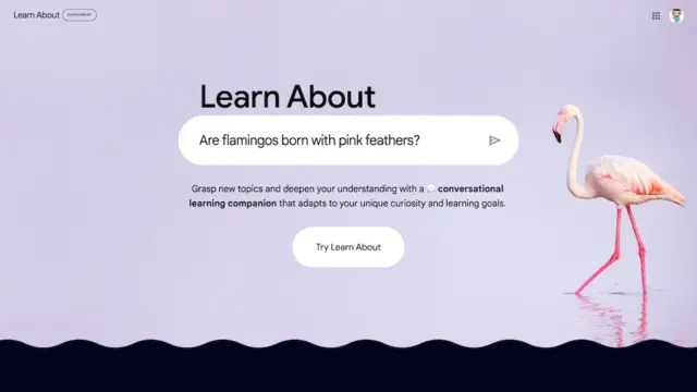 google-s-learn-about.webp