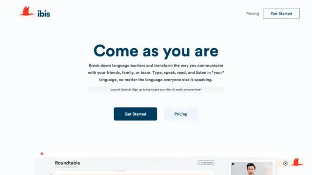 ibis.webp