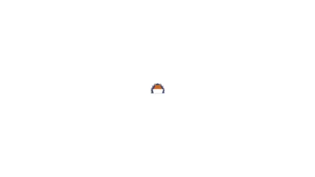 interviewforce.webp