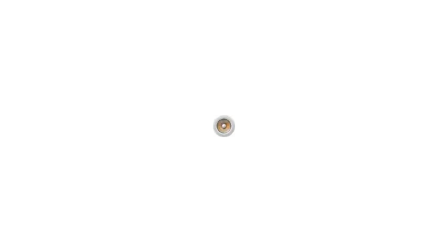 kokoro-web.webp