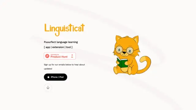 linguisticat.webp