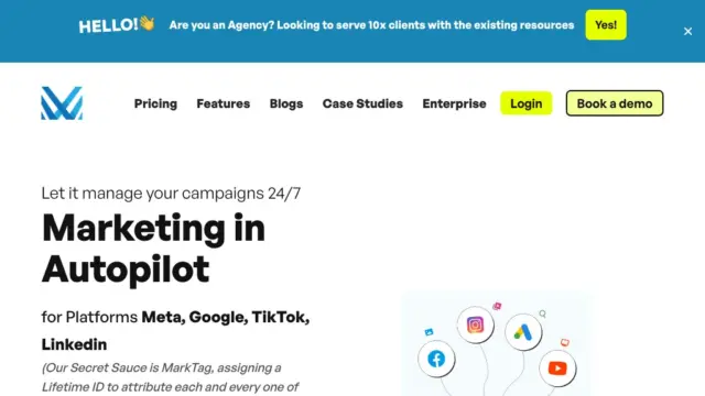 markopolo.webp