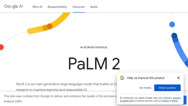palm-2.webp