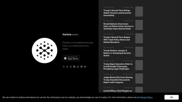 particle.webp
