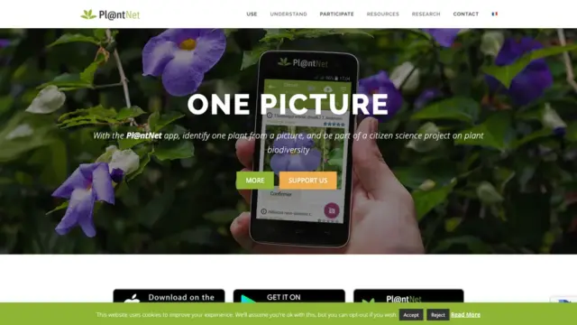 pl-ntnet.webp