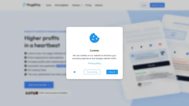 plugandpay-com.webp