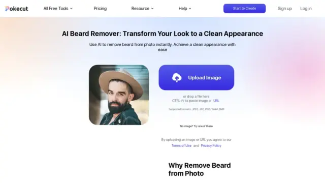 pokecut-ai-beard-remover.webp