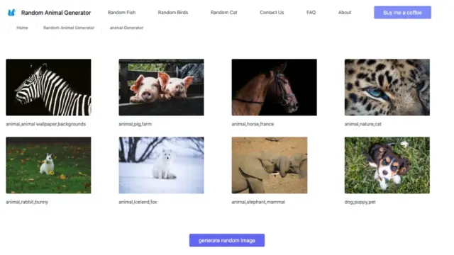 random-animal-generator.webp