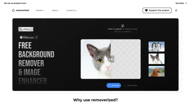 removerized.webp