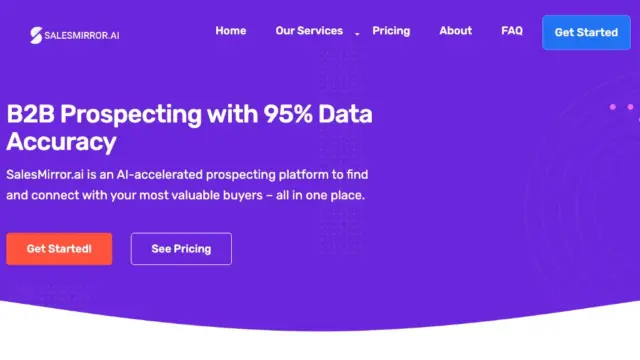 salesmirror.webp