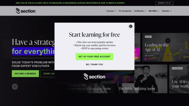 sectionschool-com.webp