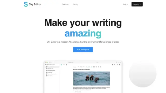 shy-editor.webp