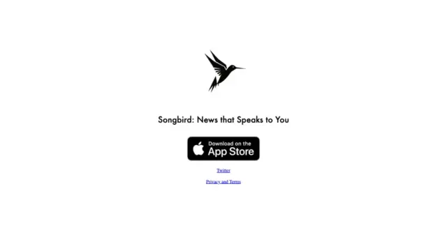songbird-news.webp