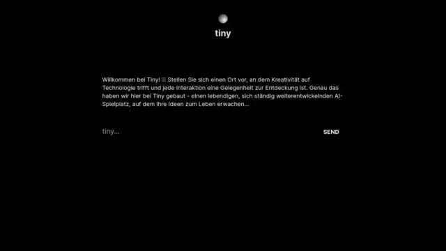 tiny-ai.webp