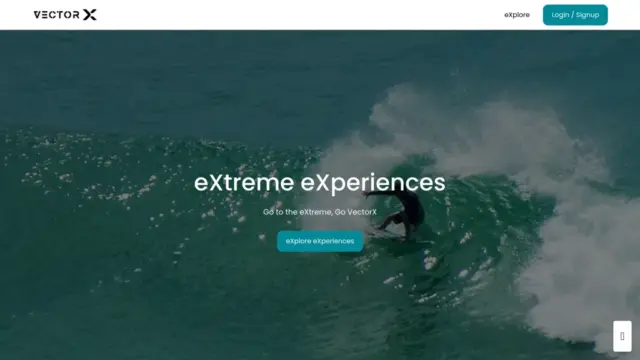vector-x.webp