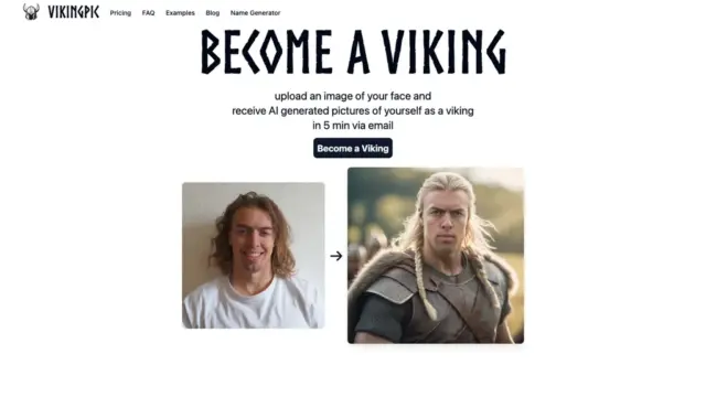 vikingpic.webp