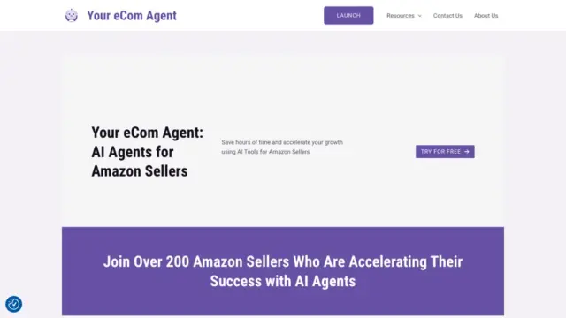 your-ecom-agent.webp